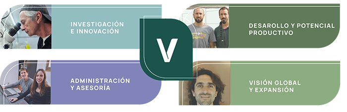 Equipo de Vitrón