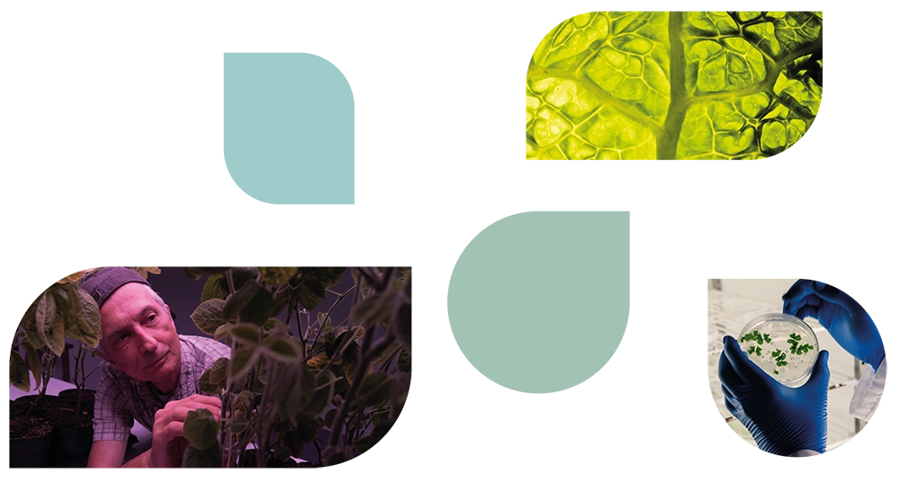 Investigación y Gemónica Vitrón